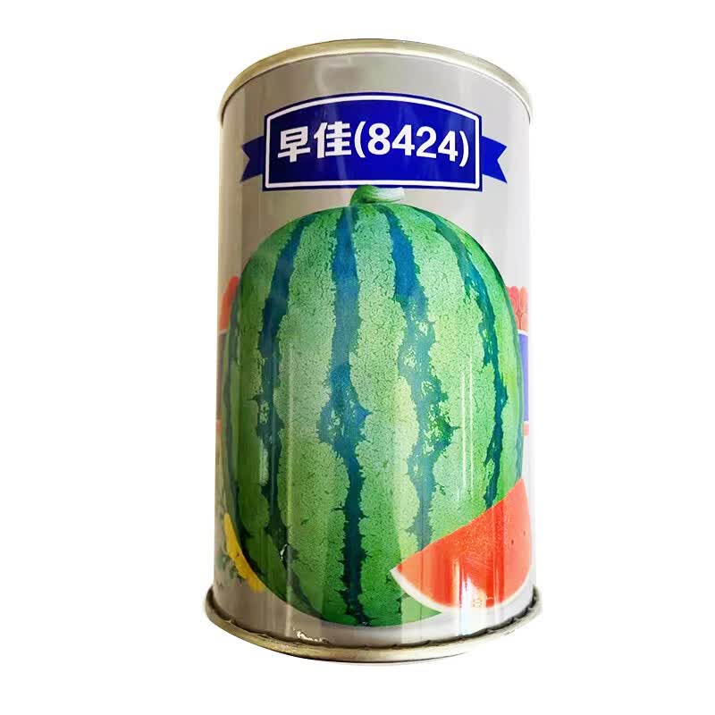 沙漠王子西瓜种子种籽无籽甜王早佳8424西瓜黄心西瓜水果蔬菜四季高产