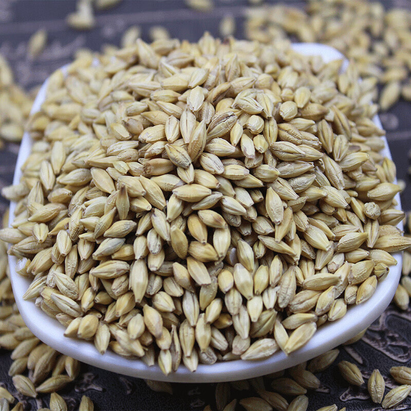 新带壳大麦粒5斤大麦茶原料种子发芽苗做麦芽糖榨汁带皮大麦
