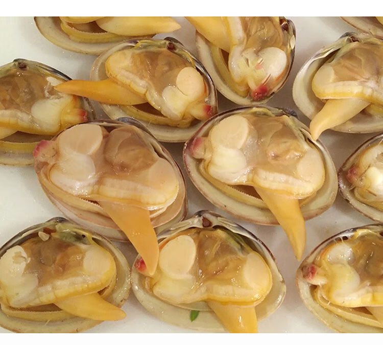 顺丰冷链子新鲜鲜活无沙特大蛤蜊文贝福茹洲整箱6斤鲜活黄蚬子顺丰