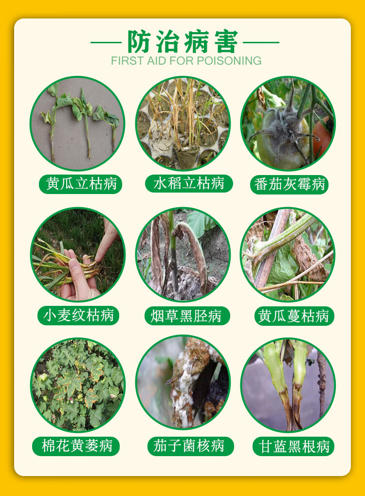 中农瑞苗清甲霜恶霉灵苗期立枯猝倒病死苗烂根土壤农药进口剂50ml