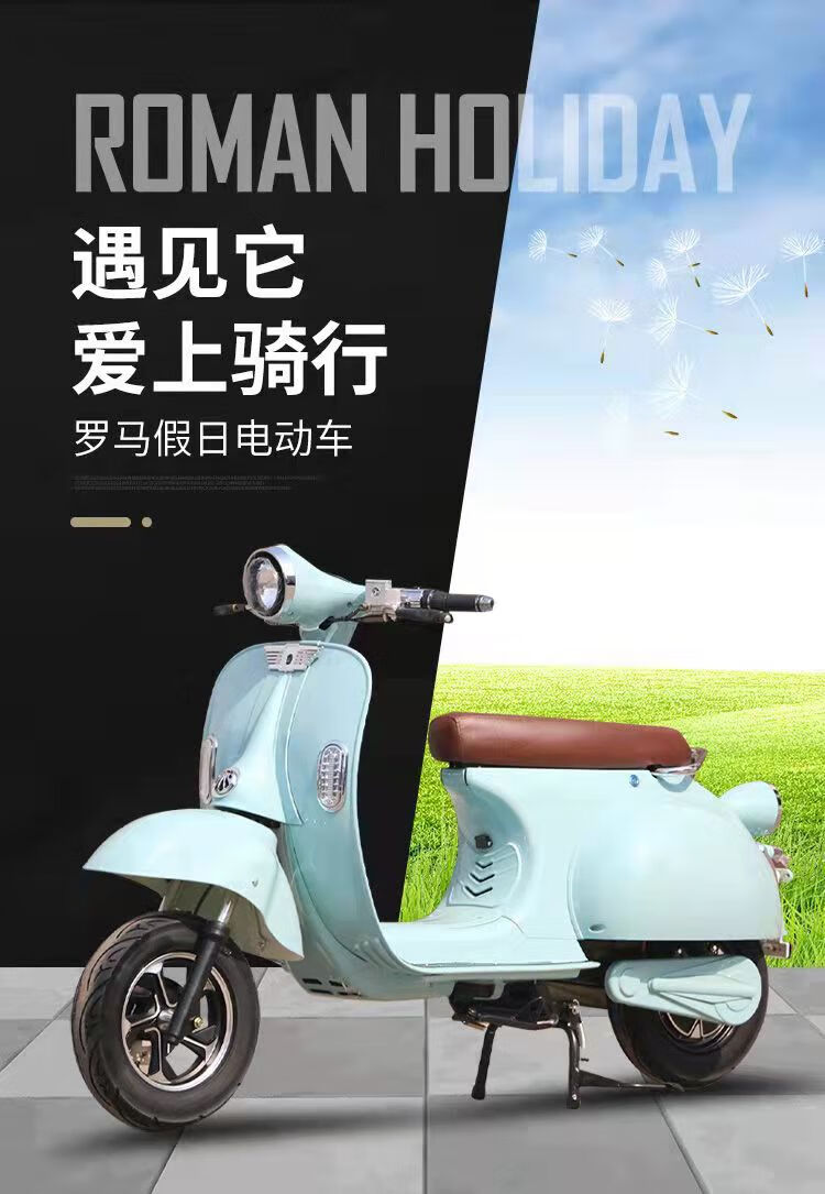 罗马假日复古电动车网红vespa大黄蜂成人72电瓶车可上牌女士电摩 旗舰