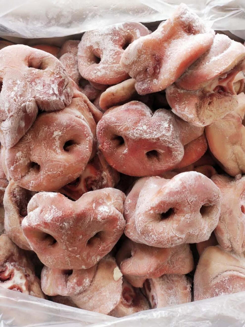 新鲜冷冻猪鼻子带骨猪拱嘴去骨猪鼻20斤一箱卤菜烧烤 云港海味.