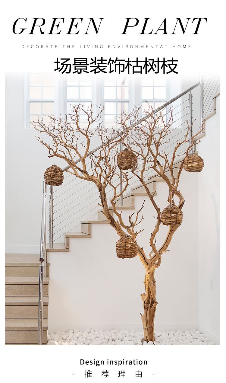 5米 不不 干树枝【图片 价格 品牌 报价】-京东