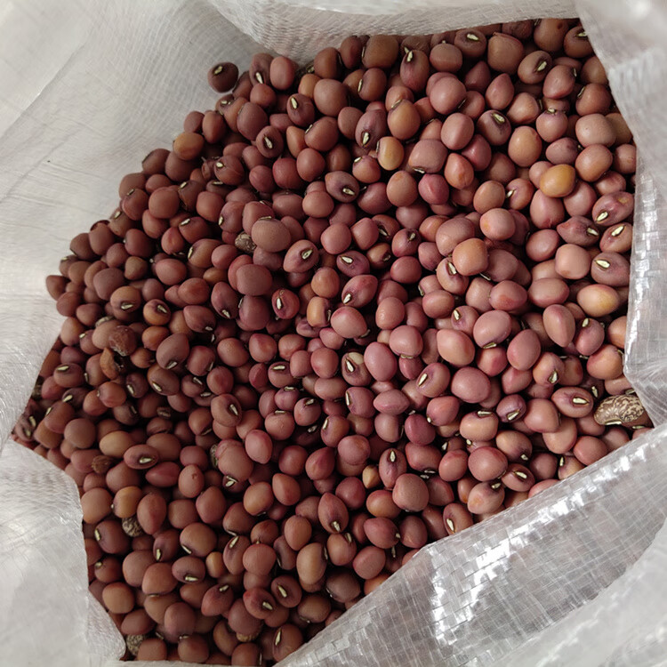 红豇豆5斤 农家自种少许红豇豆 地道农家熬粥豆子非红小豆易出沙 小豆