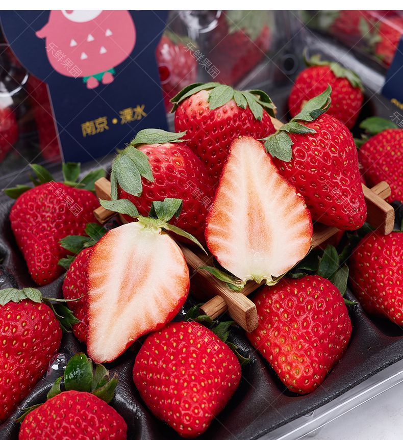 乐鲜果园红颜草莓礼盒2盒大果甜草莓新鲜奶油草莓鲜果水果腾旺纳跃2