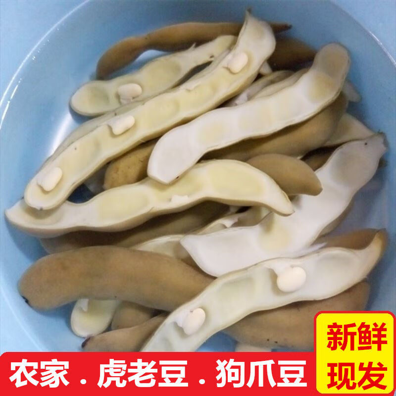 梅州客家特色小菜农家狗爪豆胡老豆老虎豆虎老豆龙爪豆真空包装虎老豆