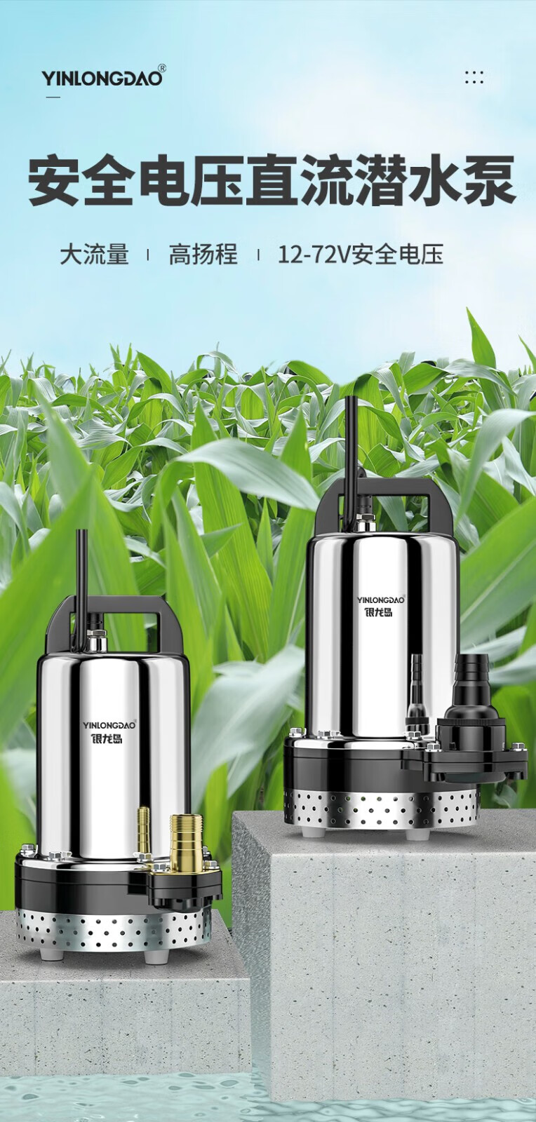 德国银龙岛 直流潜水泵高扬程家用电瓶车抽水泵大功率小型农用灌溉