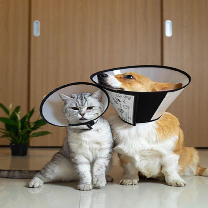 伊丽莎白圈狗狗猫咪项圈脖套防舔咬圈软伊莉莎白圈宠物头套耻辱圈5号