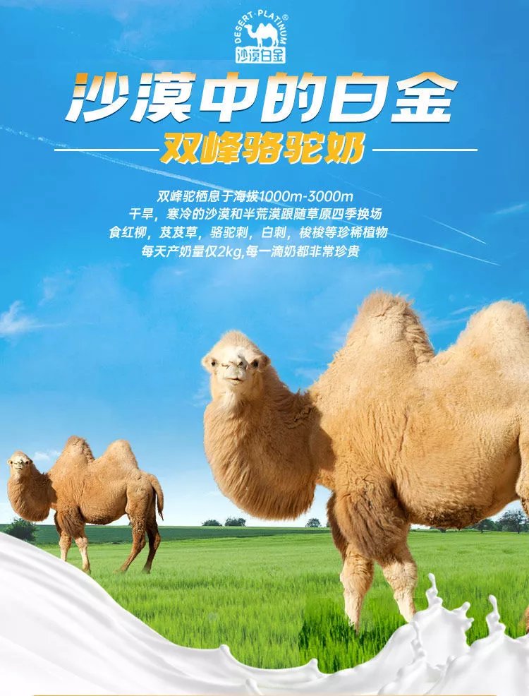 驼奶粉骆驼奶粉新疆沙漠白金纯驼奶中老年高钙奶粉礼盒 300g*2罐 礼盒