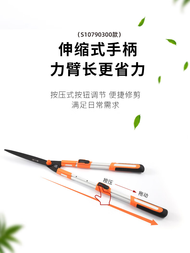 dd702318d00ba402.jpg