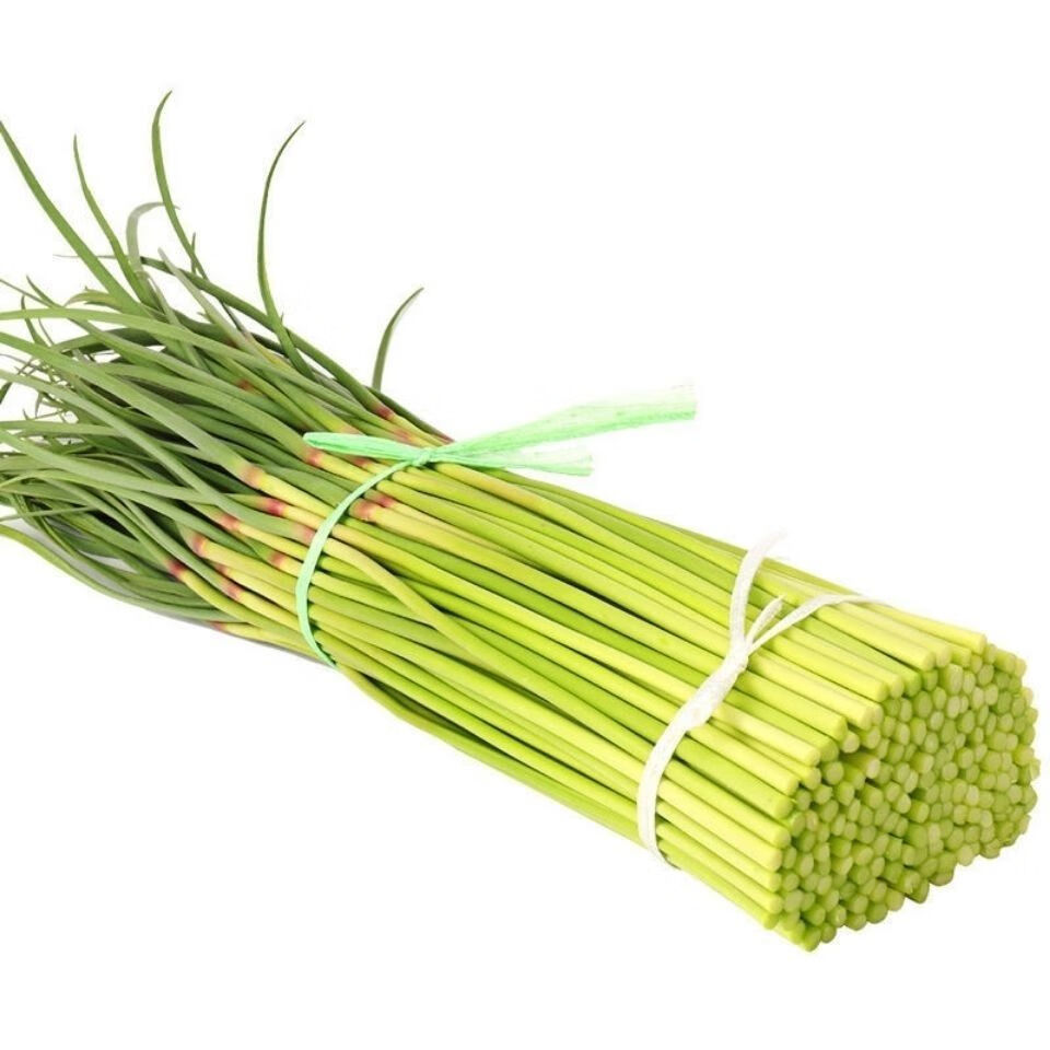 蒜薹蒜苔山东河南蒜苗蒜毫蒜台新鲜蔬菜店长五斤净重发货