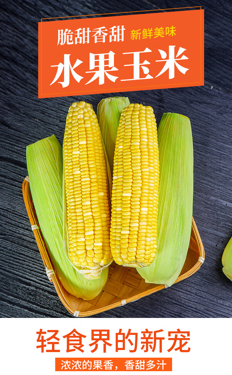 甜脆玉米现摘带皮玉米棒子云南金银水果玉米糯黏苞谷生鲜蔬菜 9斤