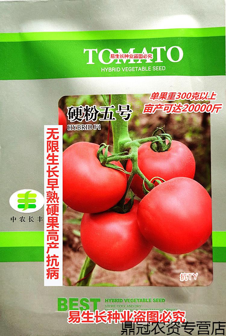 菜友中农硬粉五号番茄种子新品无限生长早熟硬果高产抗病农家冬春播种