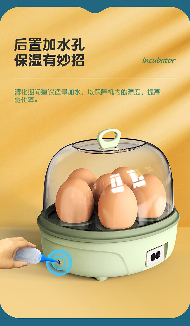芦丁鸡孵化器 迷你孵蛋器小型智能儿童孵化器家用型小鸡自动孵化机鸟