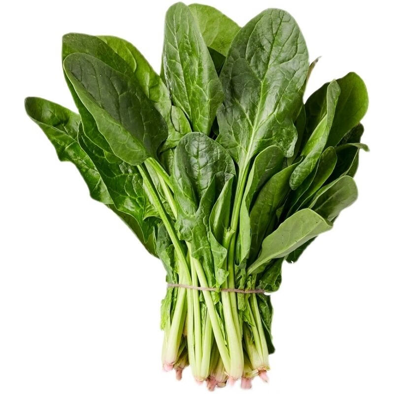 菠菜新鲜农家自种露天新鲜红根菠菜宝宝辅食嫩叶小菠菜新鲜菠菜5斤装