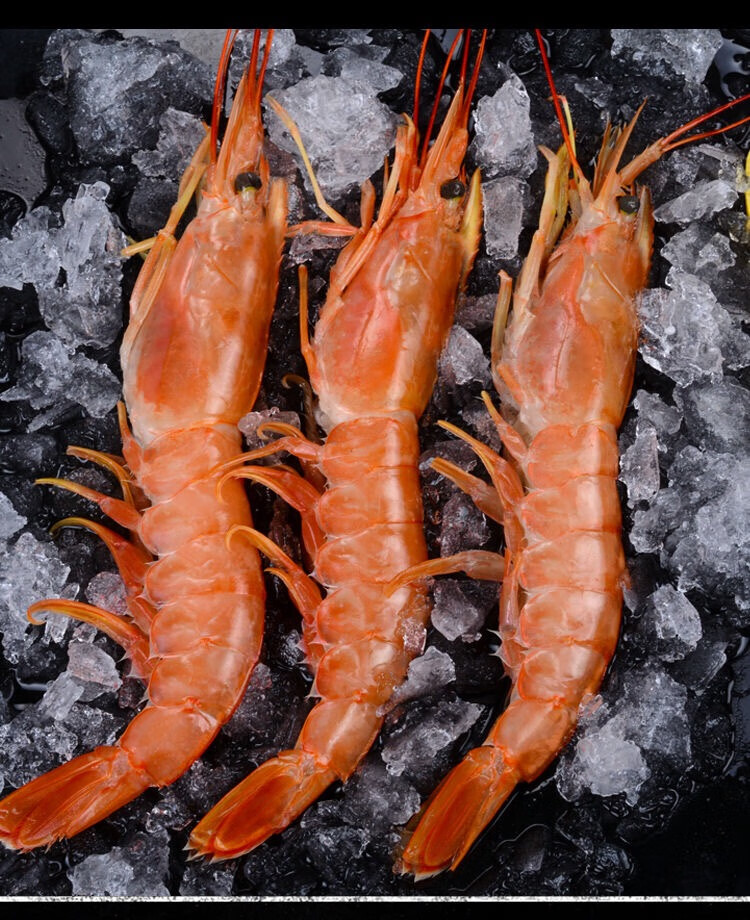 mpdq 【顺丰速运】现货2kg大号进口阿根廷红虾超大海鲜水产鲜活深海