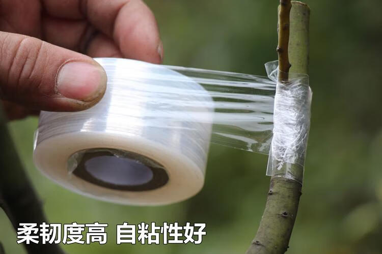 透明嫁接刀胶带植物缠绕膜果树嫁接膜包扎带捆绑花木新型绑带2cm嫁接