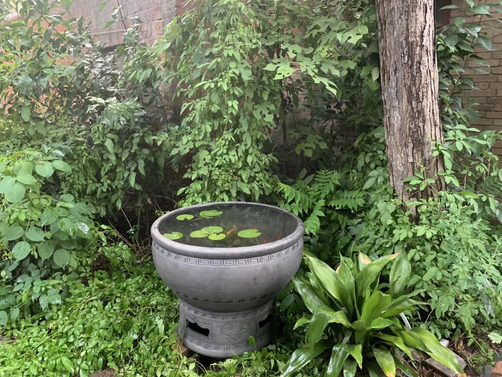 鱼缸客厅落地老北京鱼盆古法养鱼泥盆陶盆荷花缸睡莲盆大号鱼缸 刻字