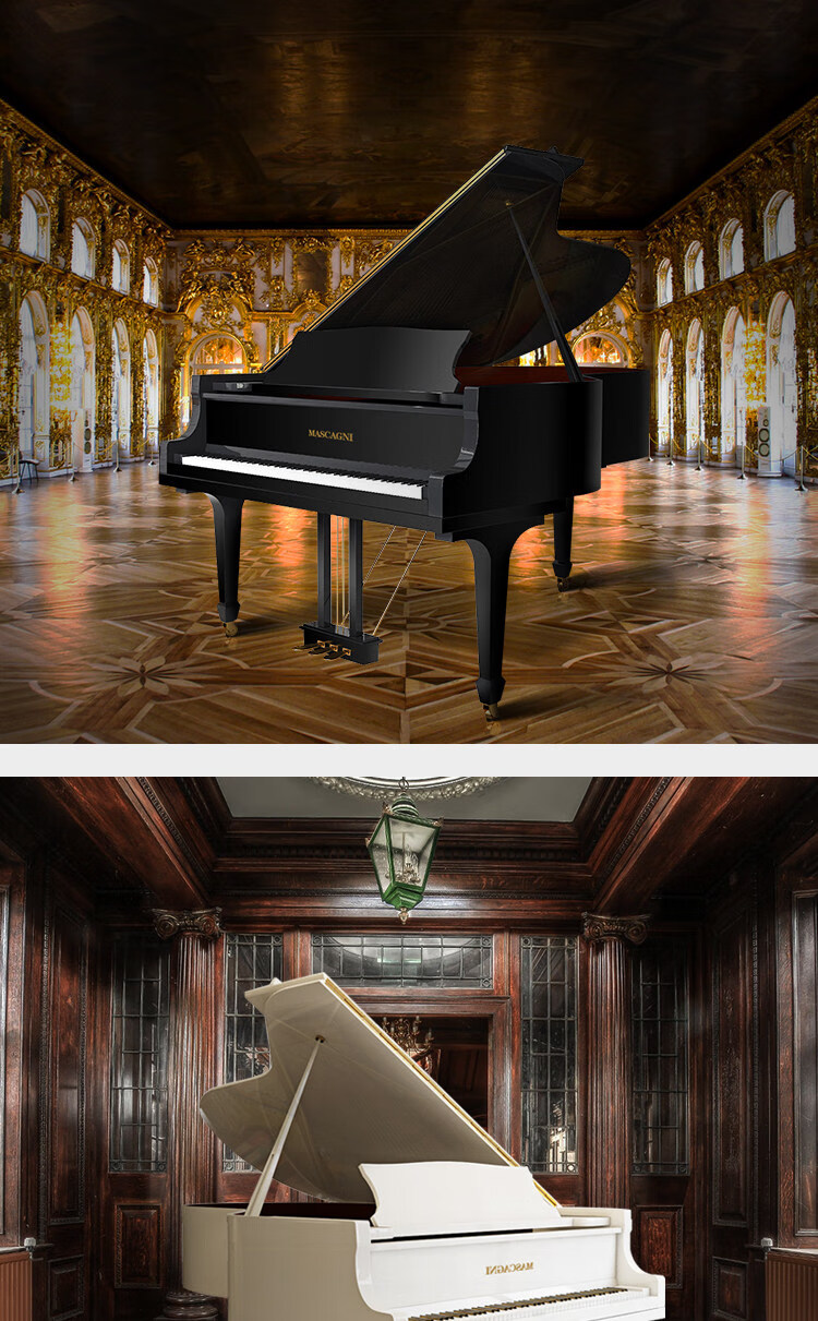 玛斯卡尼gp152型三角钢琴钢琴家用演奏考级三角钢琴定制款 白色 152