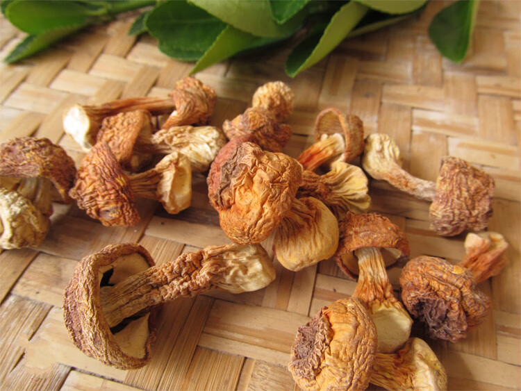 姬松茸干货山货青川土特产食用菌煲汤100g