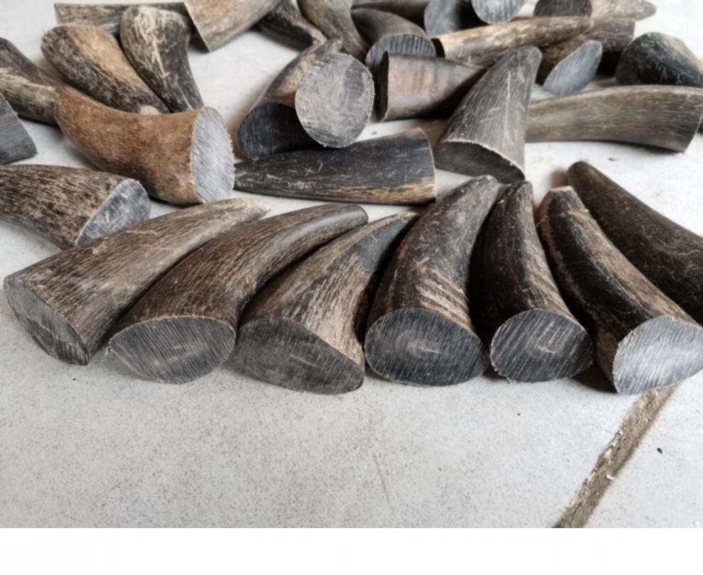 庄梦蝶黑水牛角尖全实心原料diy手工艺品雕刻印章刀柄手串珠材料3033