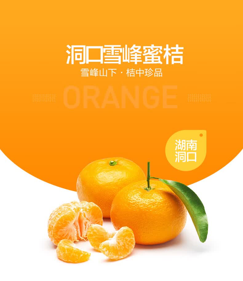 新品洞口雪峰蜜桔 高山蜜橘子湖南邵阳特产新鲜水果薄皮应季5斤9斤装