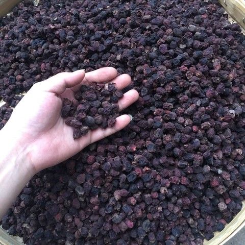 新货野生山捻子干泡酒料山稔子桃金娘果多尼岗棯子500克