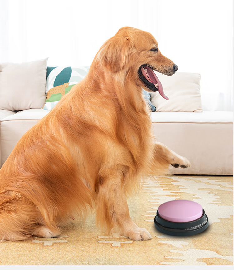 宠物交流按钮狗狗语音沟通发声训练玩具对话说话解闷神器录音按键