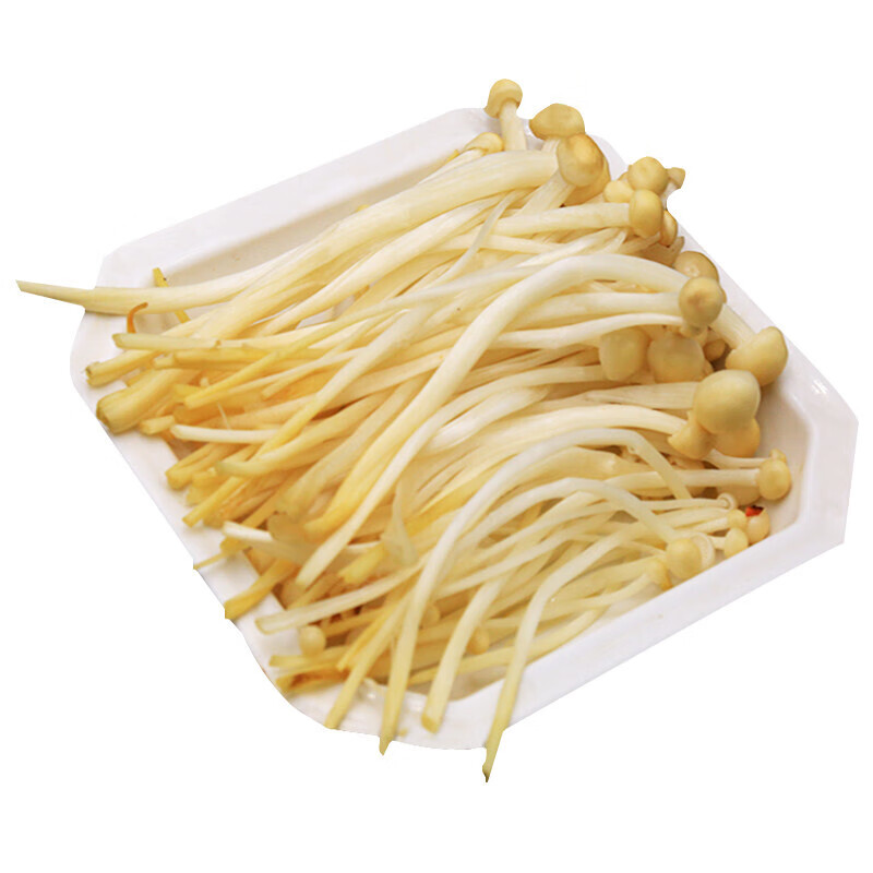 黄色金针菇新鲜火锅食材新鲜火锅配菜新鲜绿色蔬菜生黄色金针菇150g