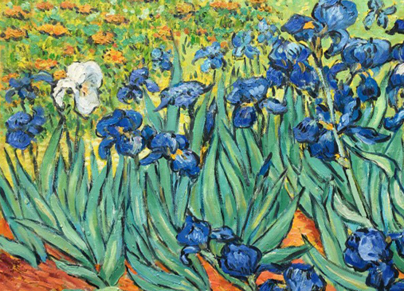梵高装饰画梵高名画手绘鸢尾花油画挂画客厅沙发背景墙美式餐厅装饰画
