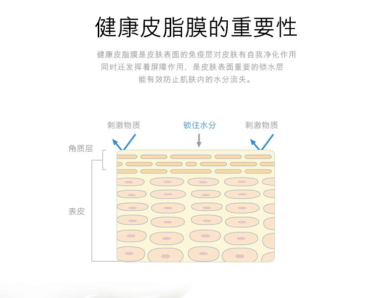e11f96206ed26f1e.png