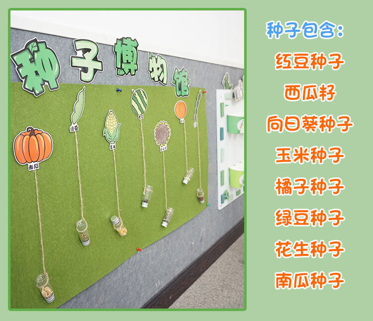 知鹿幼儿园环创装饰中大班植物小学主题墙面科学布置种子区域区角材料