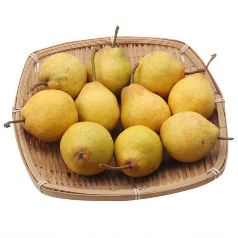 东北尖把梨可鲜可冻梨中果带箱9一10斤