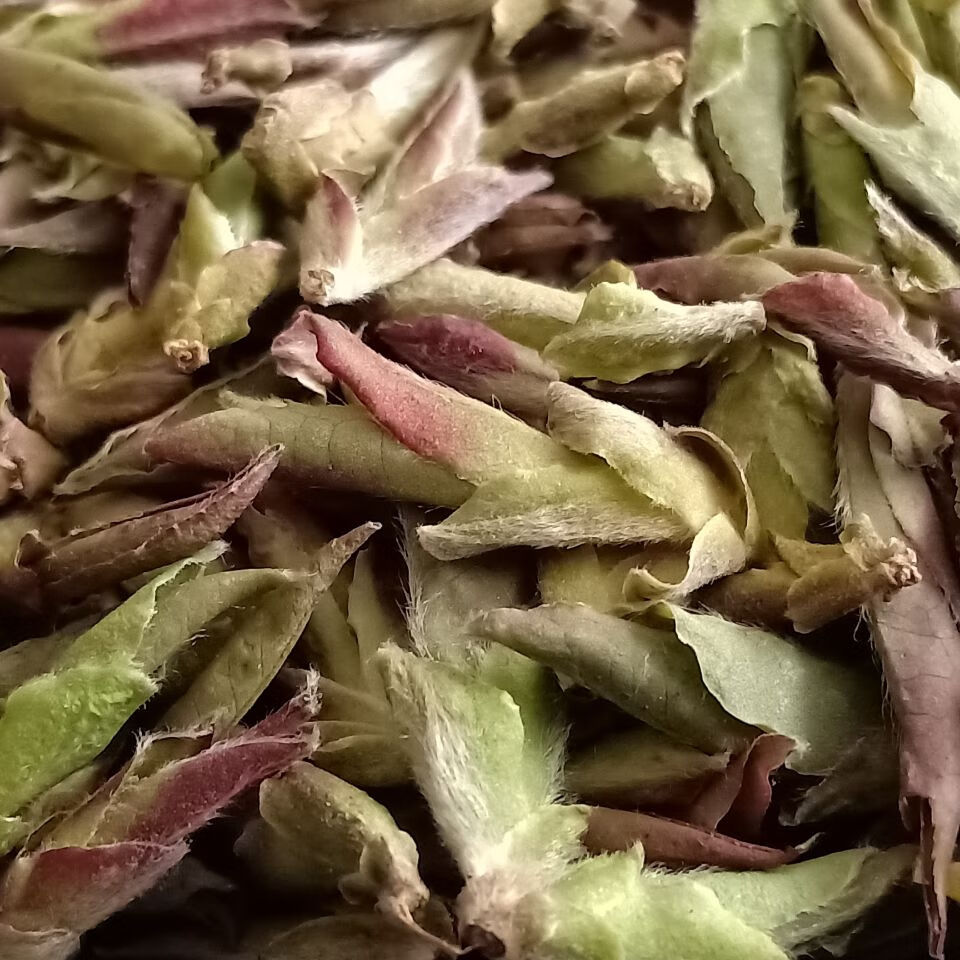 雀嘴茶 2022年早春明前云南小黑山古树普洱生茶紫芽孢红 500克【图片