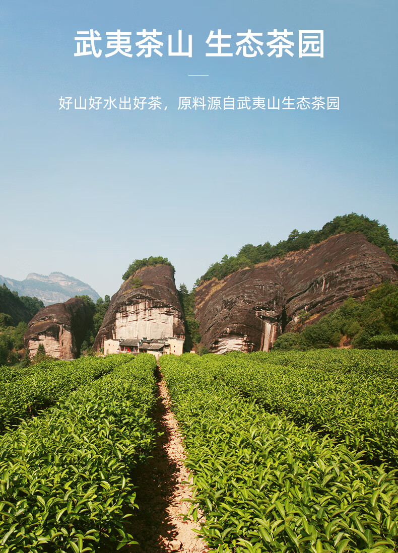 知福肉桂茶150g知福茶叶2021新茶武夷山肉桂茶武夷马岩乌龙茶浓香型