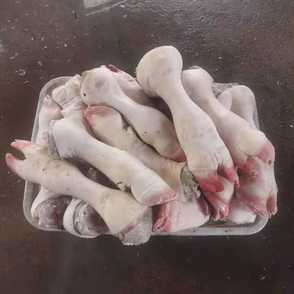 新鲜整只黄牛蹄脚手工去毛带蹄筋默认切割发货非火烧屠宰场直供整根6