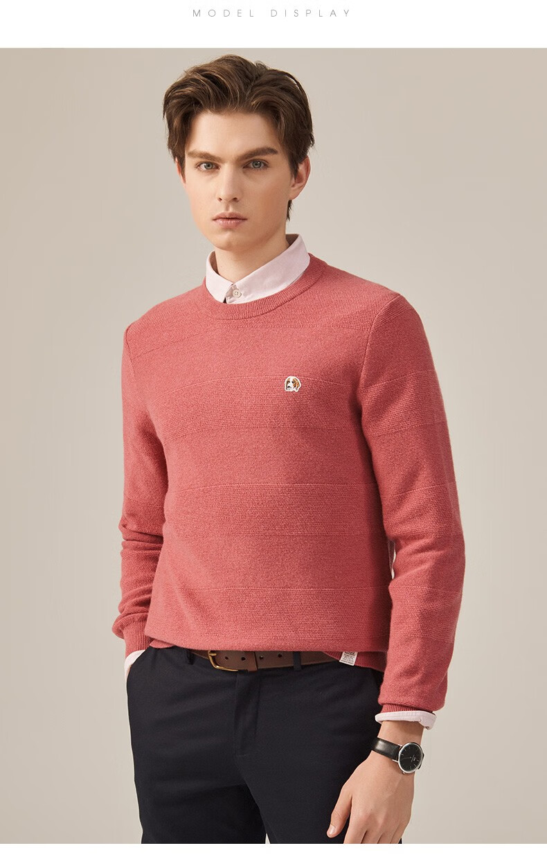 哈吉斯hazzys【phiz系列】 秋冬羊毛衫男英伦都市针织abyzd09di21 深