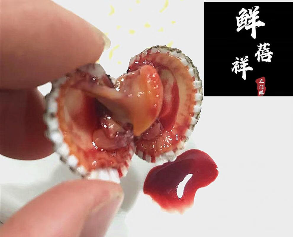 当天捕捞二斤装鲜蛤银温州血哈泥蚶三门小海鲜大花鲜中号4斤一斤约