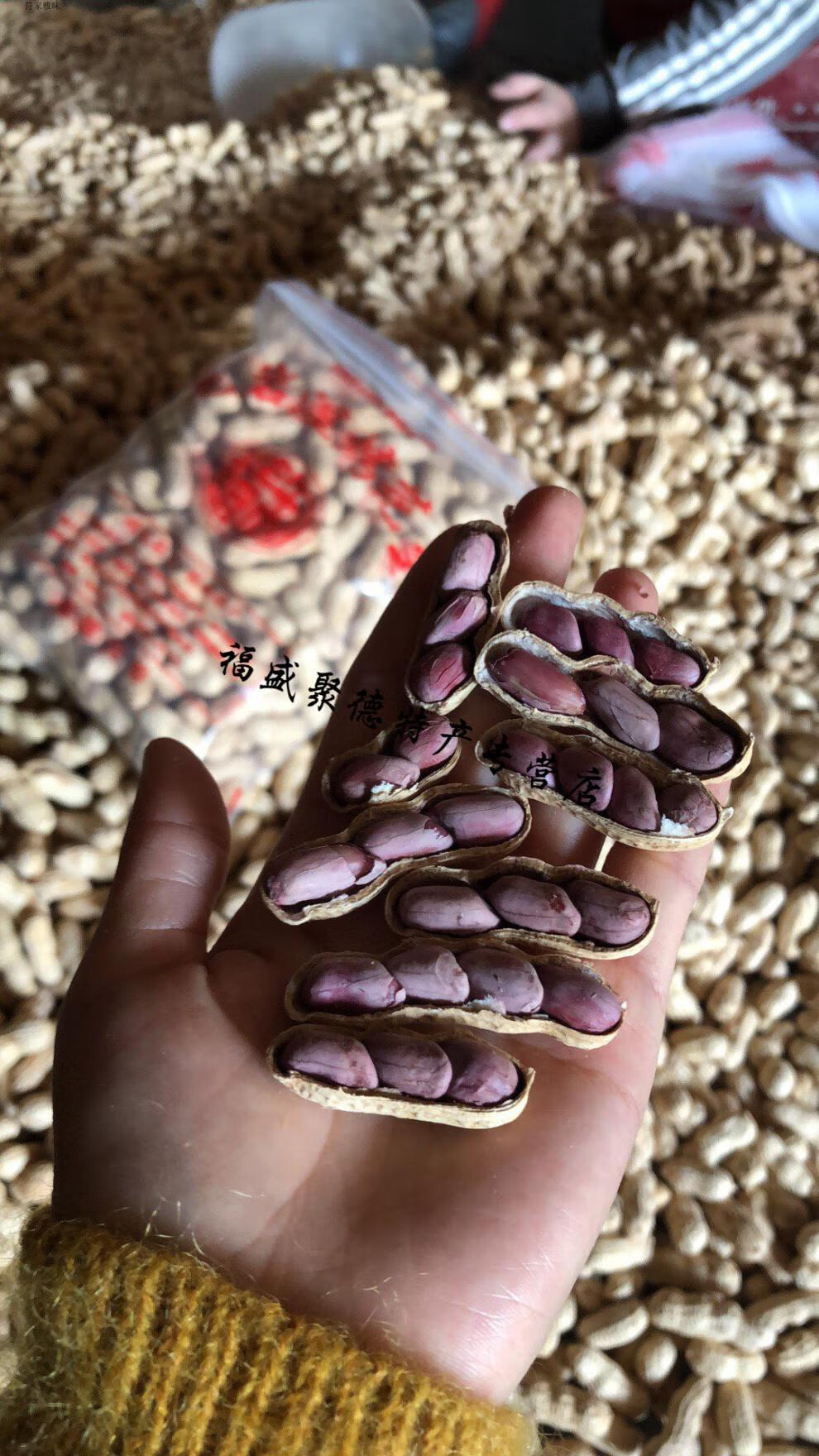 福建闽西特产龙岩湿烤紫衣花生2020年新货多籽五香硬脆3斤5斤紫衣湿烤