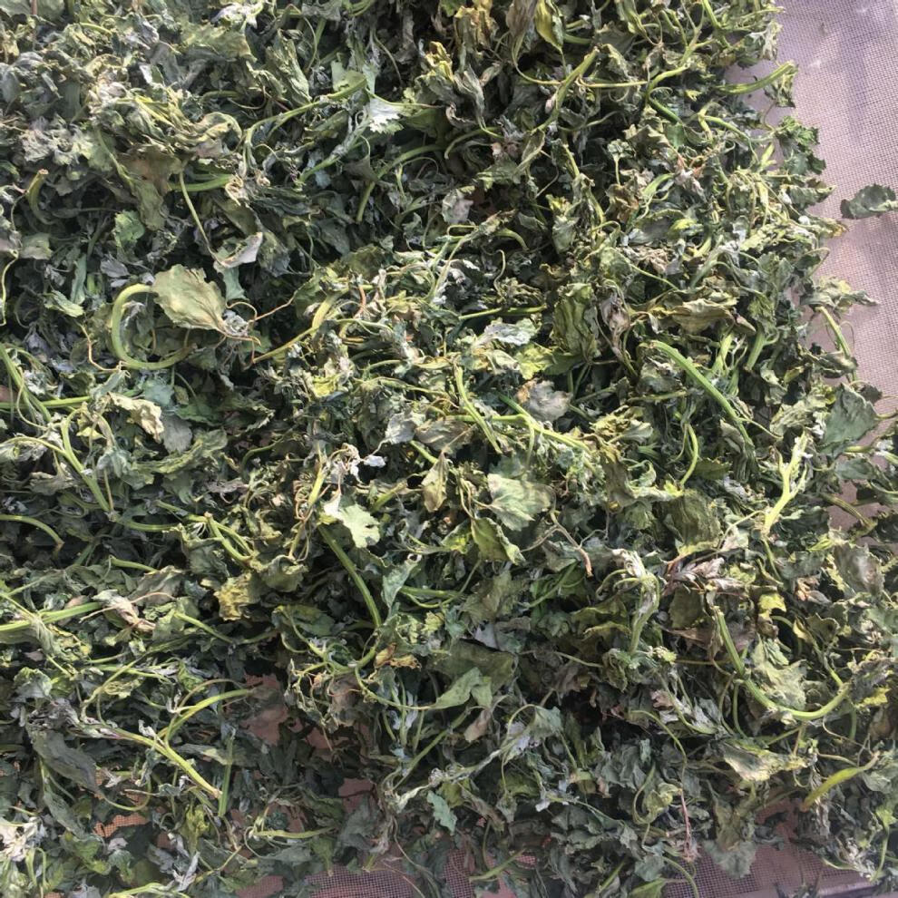晨臻 脱水灰灰菜500g脱水野菜干 干灰菜 新鲜灰灰菜新货 灰灰菜新货