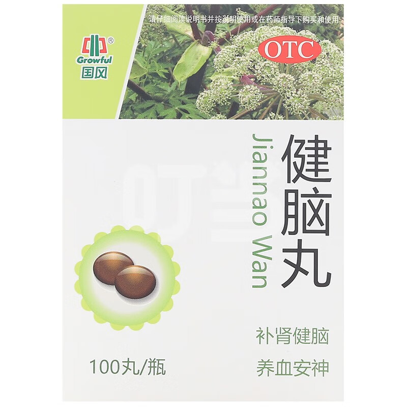 品牌: 国风药业(growful) 商品名称:国风 健脑丸补脑丸补肾健脑头晕