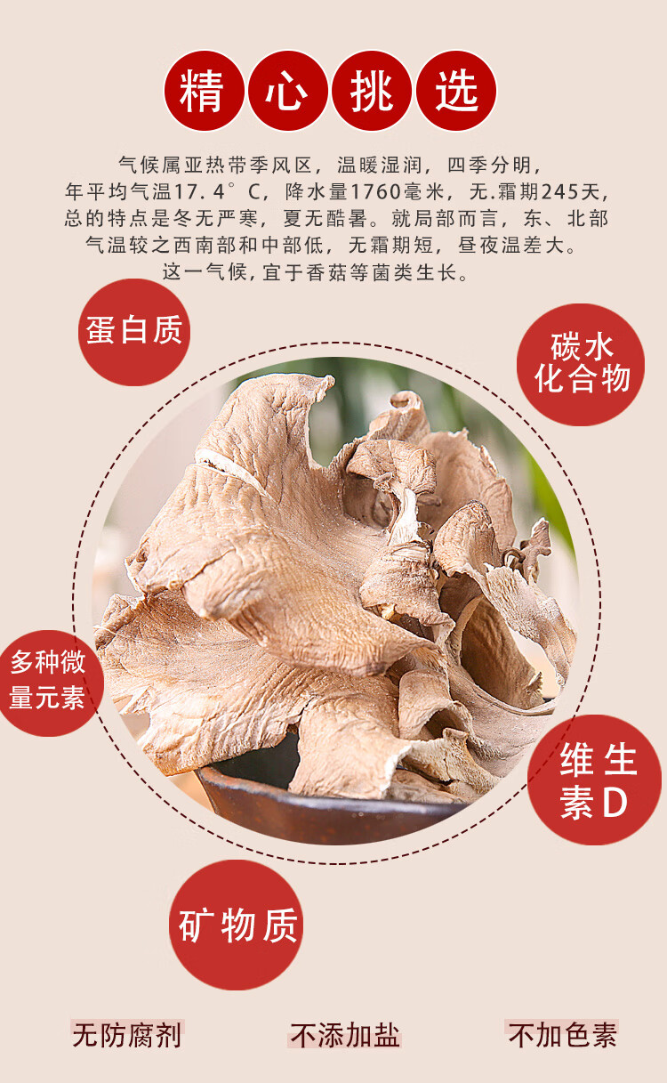 舞茸茶灰树花粉舞茸粉鲜舞茸千佛菌栗蘑无泥沙菌菇特产 100g 100g