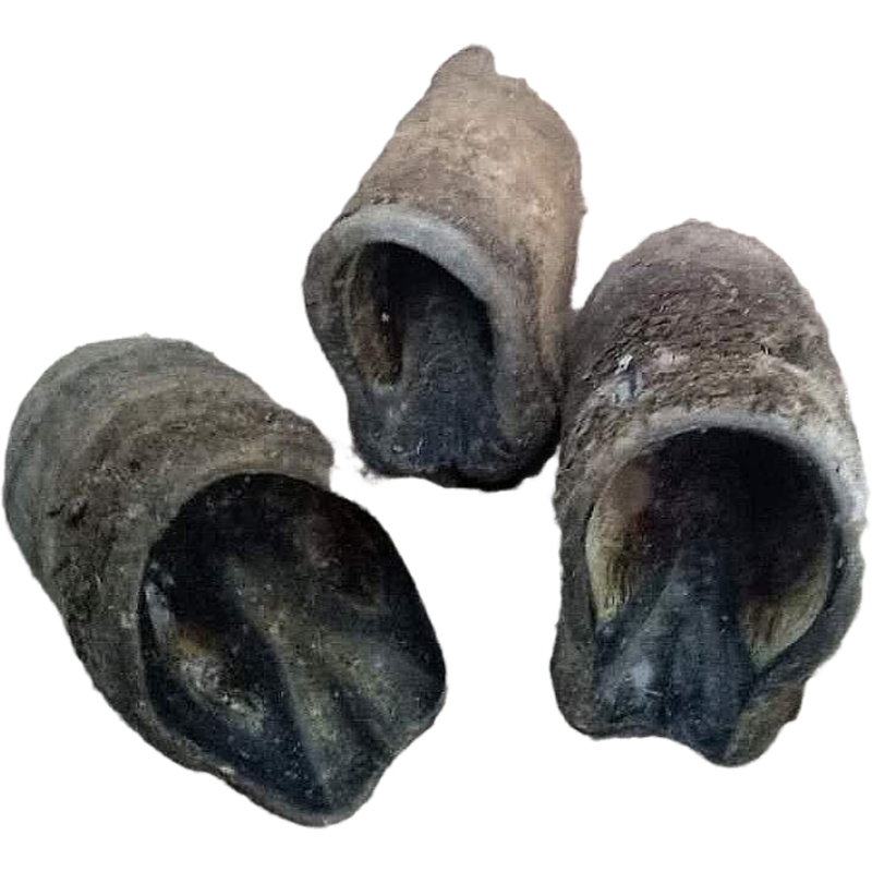 驴蹄壳黑驴蹄外壳驴蹄壳驴脚外壳纯驴蹄壳顺丰8个