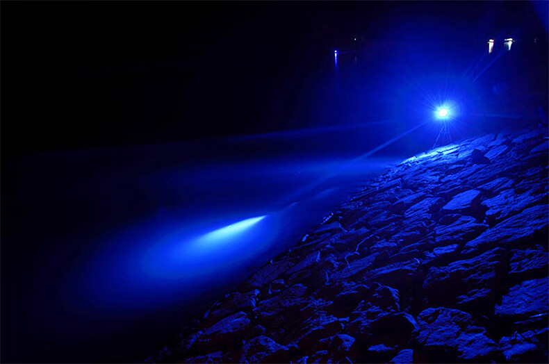 京选优品五光源9000w感应钓鱼灯变焦超亮夜钓灯蓝光充电夜光灯强光大