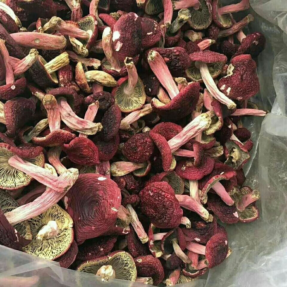 5折红菇干货福建红菇蓝底正红菇农家土特产干货香菇三明云南红菇中菇