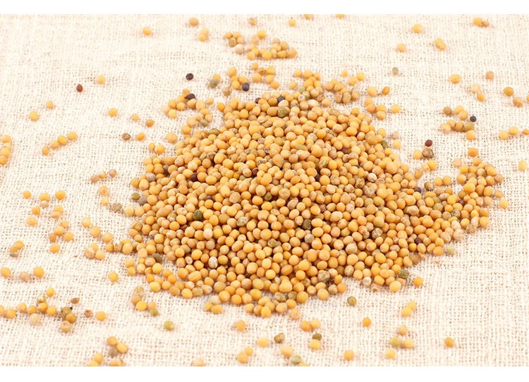 生白芥子500g中药材白芥籽 炒白芥子 白芥子粉【图片 价格 品牌 报价