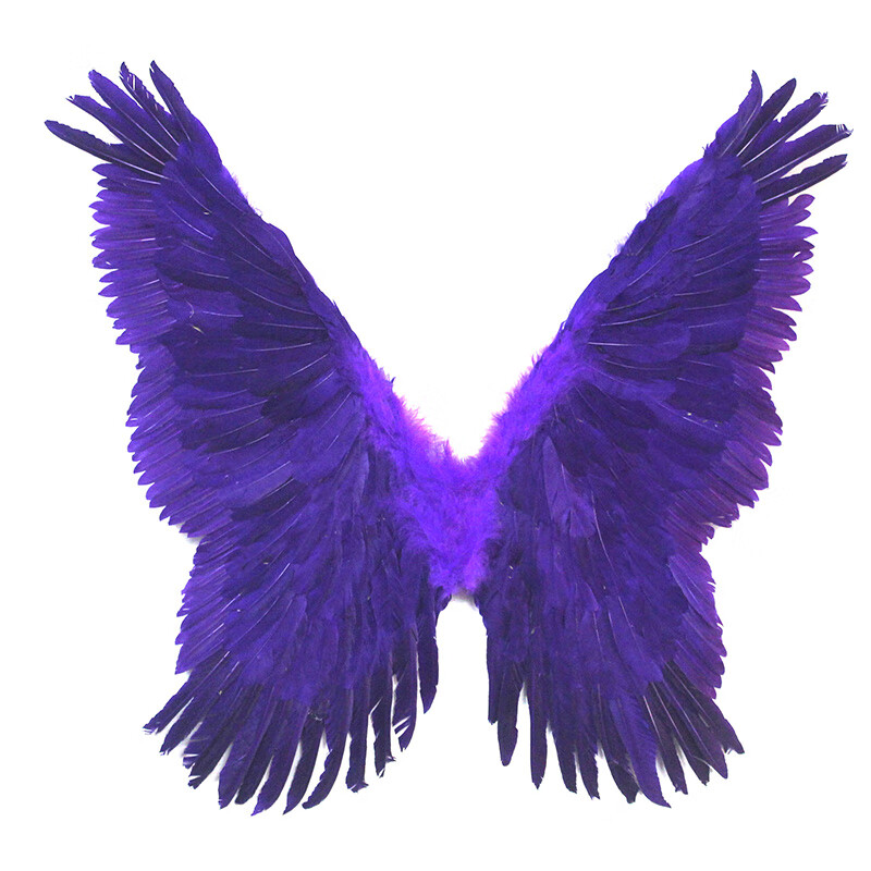 迪士尼品牌翅膀儿童玩具大号白色羽毛天使蝴蝶款婚纱摄影道具仙女公主