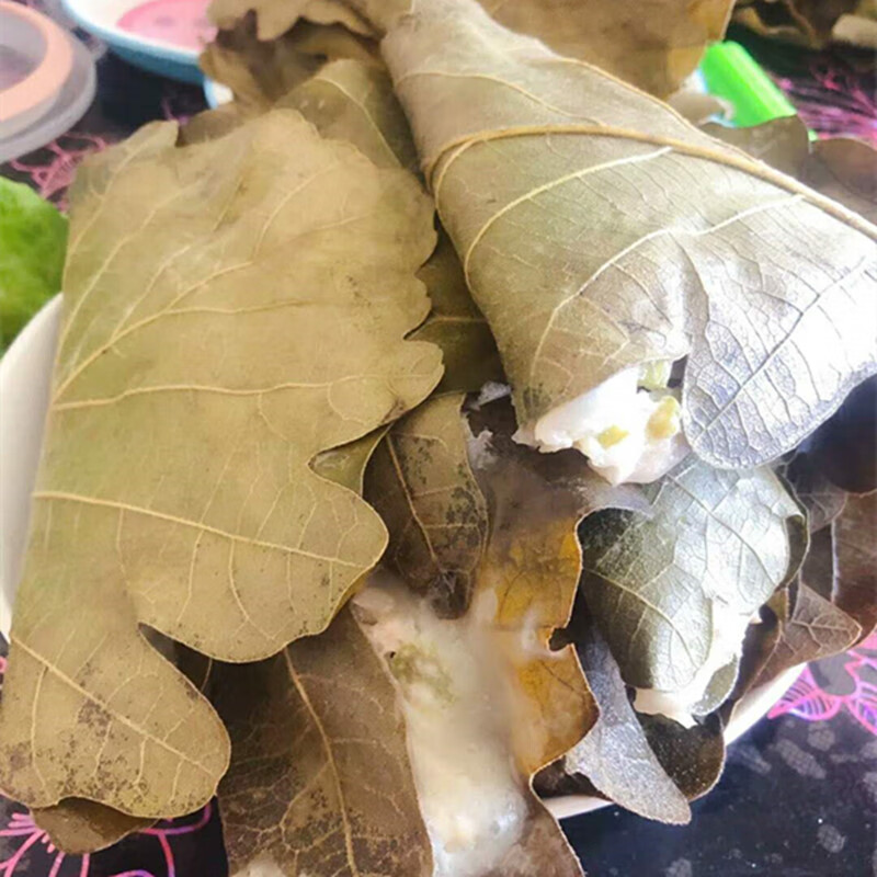 菠萝叶粽叶200片左右 辽宁省大连新鲜粽叶柞树叶槲叶桲椤叶精选款大