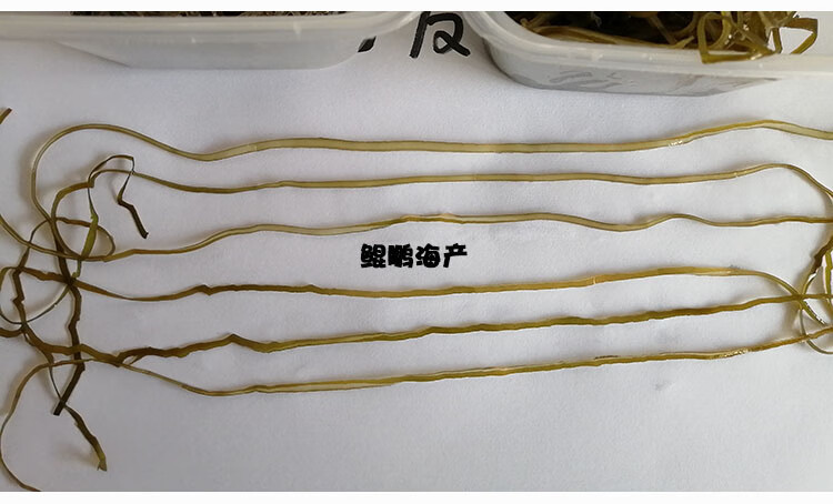 特细海带丝干货横切荣成超细海带球淡威海整箱商用海藻 2500g 5斤特