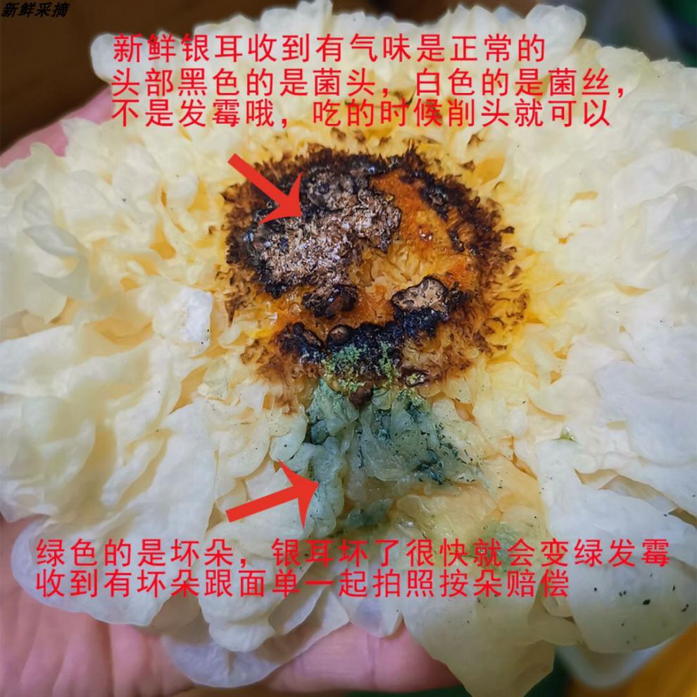 古田新鲜银耳6朵盒装 特级活耳糯耳白木耳 非干货银耳莲子羹食材 精选